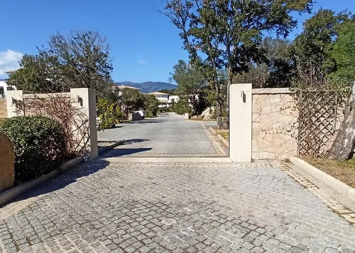 Arca C14 * 维琪奥港