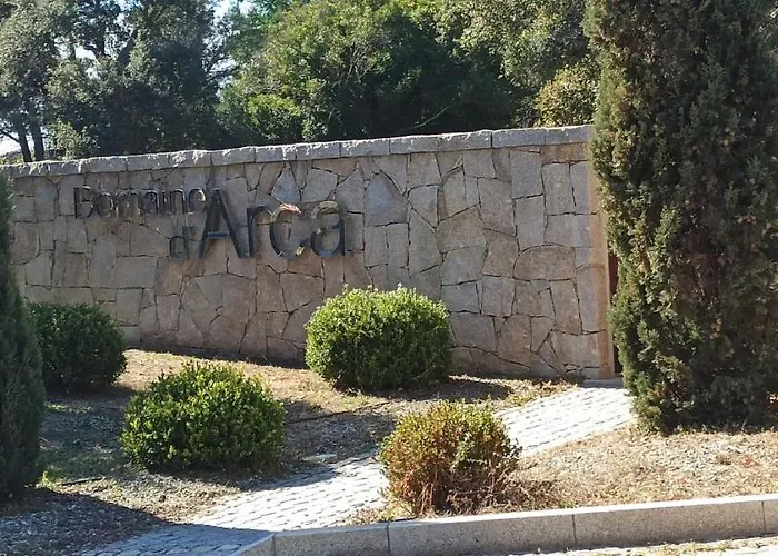 Arca C14 * 维琪奥港